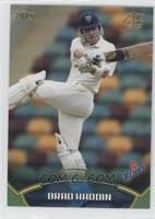 Brad Haddin