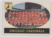 Chicago Cardinals Team