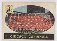 Chicago Cardinals Team