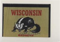 Wisconsin Badgers