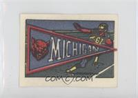 Michigan Wolverines Team