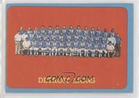 Detroit Lions Team