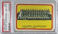 Calgary Stampeders (CFL) Team [PSA 8 NM‑MT]