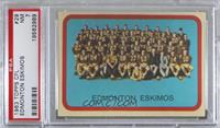 Edmonton Eskimos (CFL) Team [PSA 7 NM]