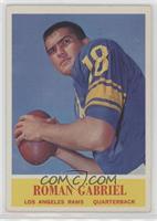 Roman Gabriel