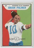 Brian Palmer