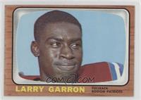 Larry Garron
