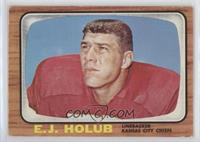 E.J. Holub