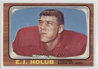 E.J. Holub