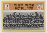 Atlanta Falcons Team