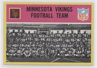 Minnesota Vikings Team