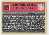 Minnesota Vikings Team