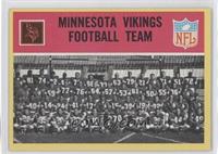 Minnesota Vikings Team