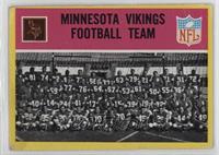Minnesota Vikings Team
