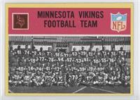 Minnesota Vikings Team