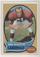 Bob DeMarco