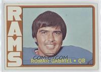 Roman Gabriel