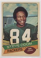 Steve Odom