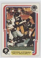 Super Bowl X