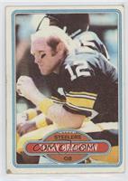 Terry Bradshaw