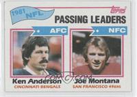 Passing Leaders - Ken Anderson, Joe Montana