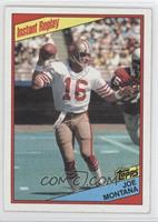 Joe Montana