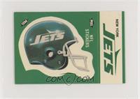 New York Jets (Helmet) [EX to NM]