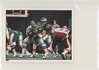 Randall Cunningham