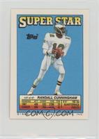 Randall Cunningham (LeRoy Irvin 104, Mike Merriweather 276)