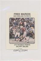 Fred Marion