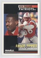 Andre Tippett