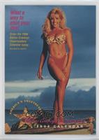 1993-94 Calendar Promo