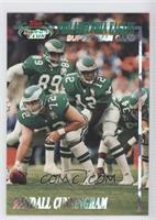 Philadelphia Eagles (Randall Cunningham)