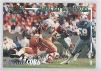 Tampa Bay Buccaneers (Reggie Cobb)