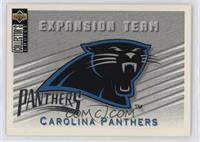 Carolina Panthers Team