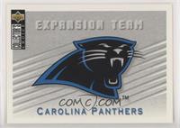 Carolina Panthers Team