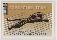 Jacksonville Jaguars Team