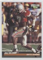 Joey Galloway