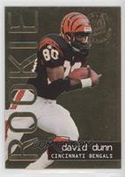 Rookie - David Dunn
