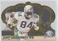 Joey Galloway