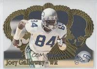 Joey Galloway