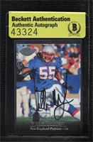 Willie McGinest [BAS Authentic]