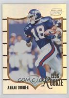 Rookie - Amani Toomer