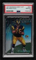 Orlando Pace [PSA 10 GEM MT]