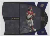 Joe Montana