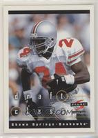 Draft Class - Shawn Springs