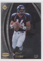 Brian Griese #/3,000