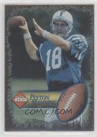 Peyton Manning (Silver- arm back/ball in picture)