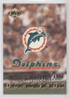 Miami Dolphins Team