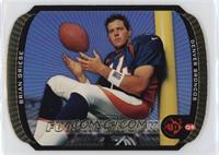 Brian Griese #/100